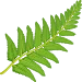 kaiyun
